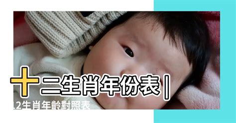 65歲屬什麼生肖|十二生肖查詢生肖年份查詢